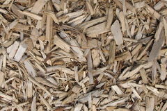 biomass boilers Rhosyn Coch