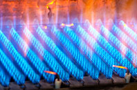 Rhosyn Coch gas fired boilers